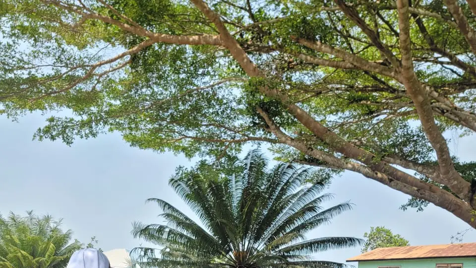 schools-visit-and-teachers-training-workshops Featured Image